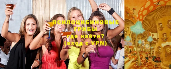 молекула духа Балахна