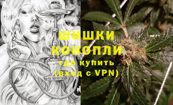 молекула духа Балахна